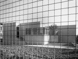 Exterior of the Villa Sacchetti Created by the Bega Firm