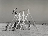 Group of Children Playing on a Swing on the Beach
