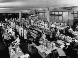 Workers in the Pannetone Production Department of the Motta Factory in Milan