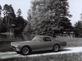 Ferrari-Pininfarina Parked in Front of a Pond Surrounded by Vegetation