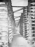 Cheese Warehouses of Monte Di Bologna