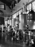 Workers Busy in a Distillery