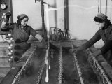 Two Female Workers at Work in the Giordani Company  Producer of Baby Carriages and Bicycles