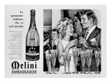 Billboard Advertising the Sparkling Wine Melini Ambassador  Produced in Pontassieve  Florence