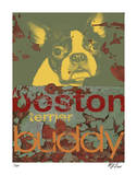 Boston Buddy