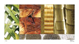 Stones & Bamboo II