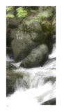In the Flow II