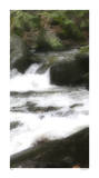 In the Flow III