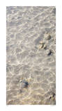 Ocean Ripples II