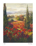 Fields of Italia II