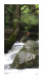 In the Flow I