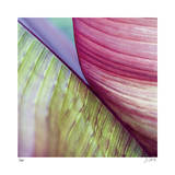 Banana Leaves II