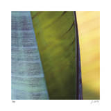 Banana Leaves I