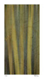 Hidden Bamboo I