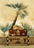 Voyage I
