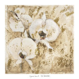 Fragrant Snow II