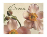 Dream
