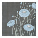 Springing Blossoms I