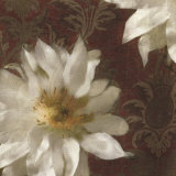 Royal Clematis I