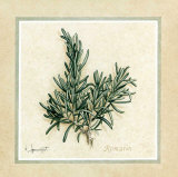 Herbes II