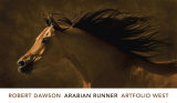 Arabian Runner