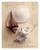 Seaside Collection II