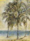 Palm Hammock II