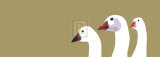 Three Geese