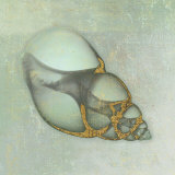 Neptune's Garden III