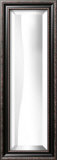 8x30 Bevel Mirror
