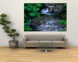 River in Springtime in Aomori-Ken  Shirakami Sanghi  Japan