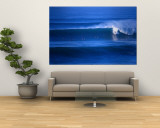 Surfers at Bells Beach  Torquay  Australia