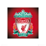 Liverpool Crest