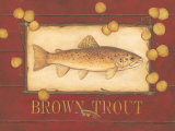 Brown Trout
