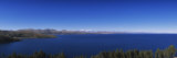 Trees at the Lakeside  Lake Titicaca  Copacabana  Bolivia