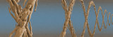 Chain of Dna Made of Men and Women