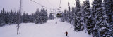 Ski Lift Passing over a Snow Covered Landscape  Keystone Resort  Keystone  Colorado  USA