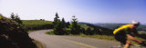 Side Profile of a Man Cycling in a Race  Mt Tamalpais  Marin County  California  USA
