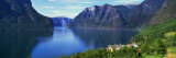 Grassy Hillside Along Norwegian Fjord  Norway