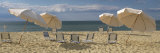 Deck Chairs and Beach Umbrellas on the Beach  Jetties Beach  Nantucket  Massachusetts  USA