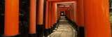 Torii Gates of a Shrine  Fushimi Inari-Taisha  Fushimi Ward  Kyoto  Honshu  Japan