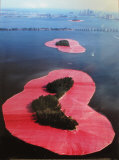Surrounded Islands  Miami