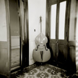 Double Bass Resting Against Wall Inside Palacio De Valle  Cienfuegos  Cuba