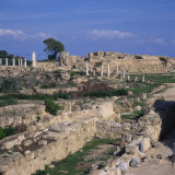 Roman Odeon Concert Venue and Hellenistic and Roman Gymnasium in Salamis  North Cyprus