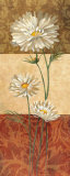 Cosmos and Squares