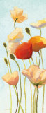 Just Being Poppies II