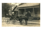Woman in Horse-Drawn Buggy