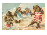 Bear Family Frolicking in Surf