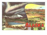Northern Lights  Sled Dogs  Alaska