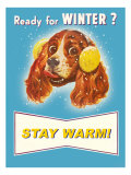 Ready for Winter  Stay Warm Dog